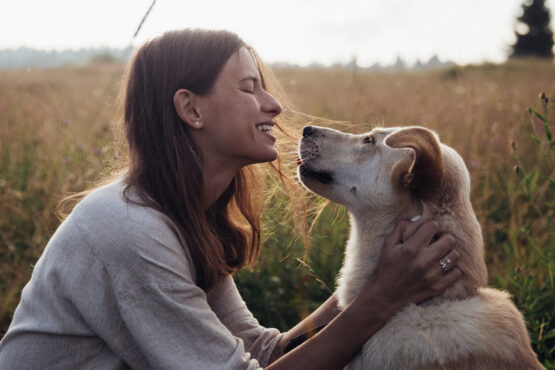 10 levenslessen die je kunt leren van je hond