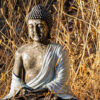 Boeddhisme voor beginners