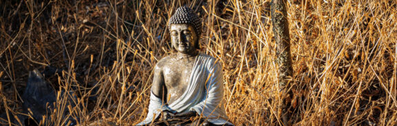 Boeddhisme voor beginners