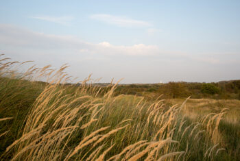 Juwelen op de Wadden