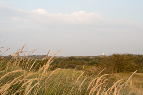 Juwelen op de Wadden