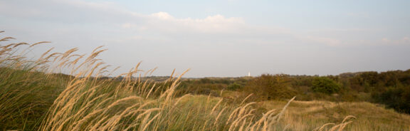 Juwelen op de Wadden