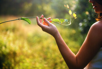 Wil je iets dóen voor het klimaat en biodiversiteit?