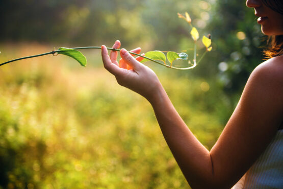 Wil je iets dóen voor het klimaat en biodiversiteit?