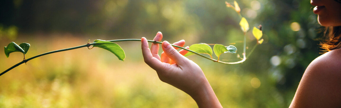 Wil je iets dóen voor het klimaat en biodiversiteit?