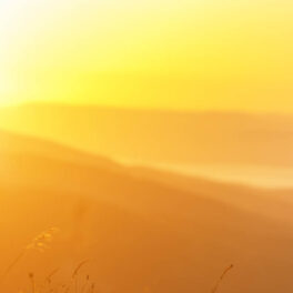 Tantra en sacred sexuality: de verschillen op een rij