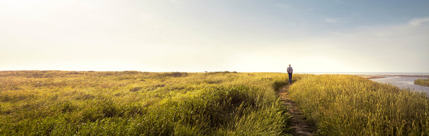 Natuur in Nederland: 5 bijzondere plekken om te verkennen