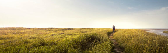 Natuur in Nederland: 5 bijzondere plekken om te verkennen