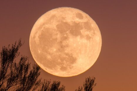 Op 12 augustus is het volle maan