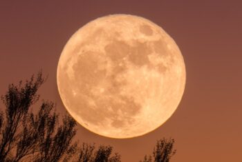 Op 12 augustus is het volle maan