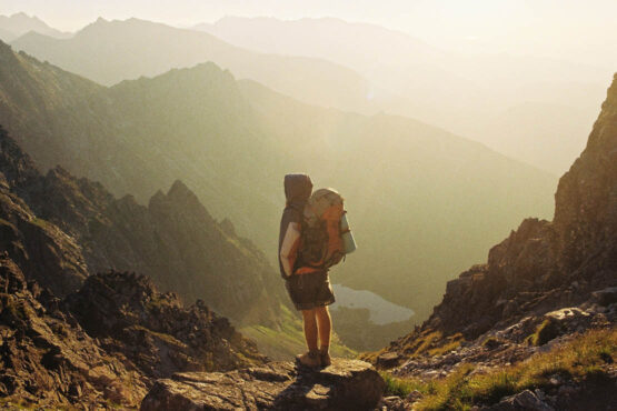 Wild en wijs: Cheryl Strayed over de kracht van de wildernis