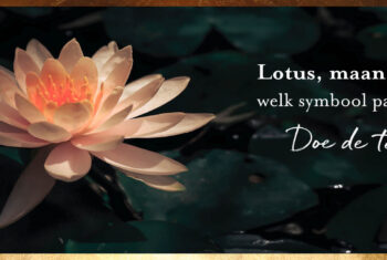 Lotus, zon of de maan: welk symbool past bij jou?