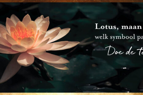 Lotus, zon of de maan: welk symbool past bij jou?