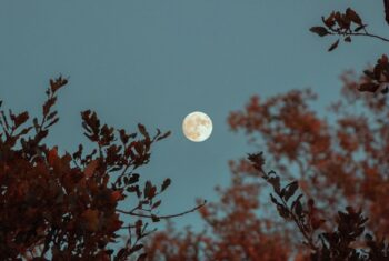 Op 9 oktober 2022 is het weer volle maan