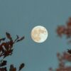 9 oktober is het weer volle maan!