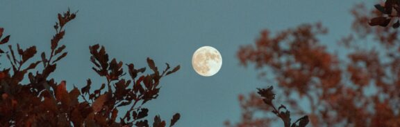 Op 9 oktober 2022 is het weer volle maan