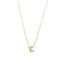 Gouden ketting Maan