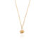 Gouden ketting Zon