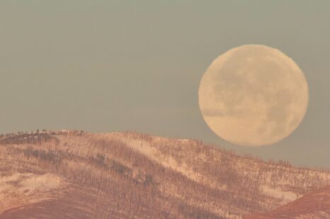 Op 8 november 2022 is het volle maan mét maansverduistering