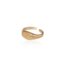 Ring Zon & Maan goud