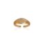 Ring Zon & Maan goud