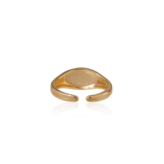 Ring Zon & Maan goud