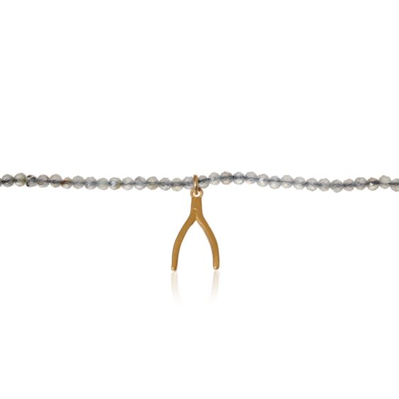 Ketting labradoriet met Wishbone verguld_04