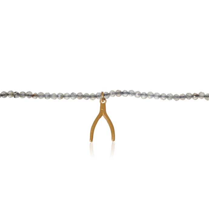 Ketting labradoriet met Wishbone verguld_04