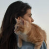 Susan Smit over katten als energetische helpers