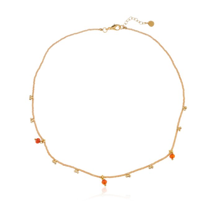 Carneeol ketting Aware
