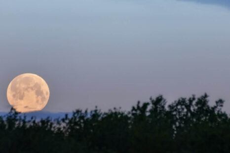 De volle maan van 3 juli 2023 legt de focus op ambitie en zekerheid