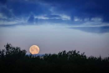 De volle maan van 3 juli 2023 legt de focus op ambitie en zekerheid