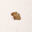 Broche ginkgo blad goud