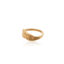 Ring Feather