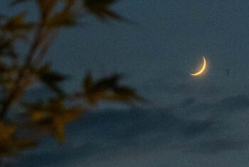 De nieuwe maan en zonsverduistering van 14 oktober 2023: dit moet je erover weten