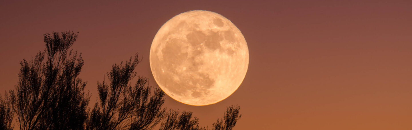 Op 28 oktober 2023 is het volle maan met maansverduistering