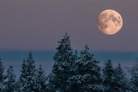 De volle maan op 27 december 2023 heeft effect op jouw kerstdagen