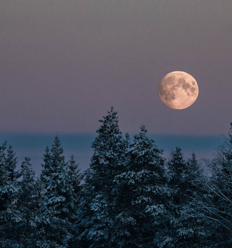 Volle maan 5 december 2025: vermoeiende energie, maar ook goede gesprekken