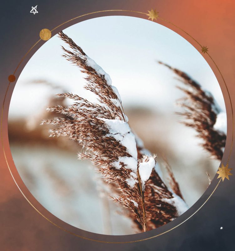 Januari niet jouw maand? 7 manieren om jezelf op te vrolijken