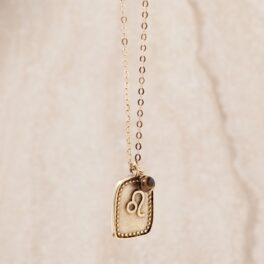 Sterrenbeeld ketting Leeuw