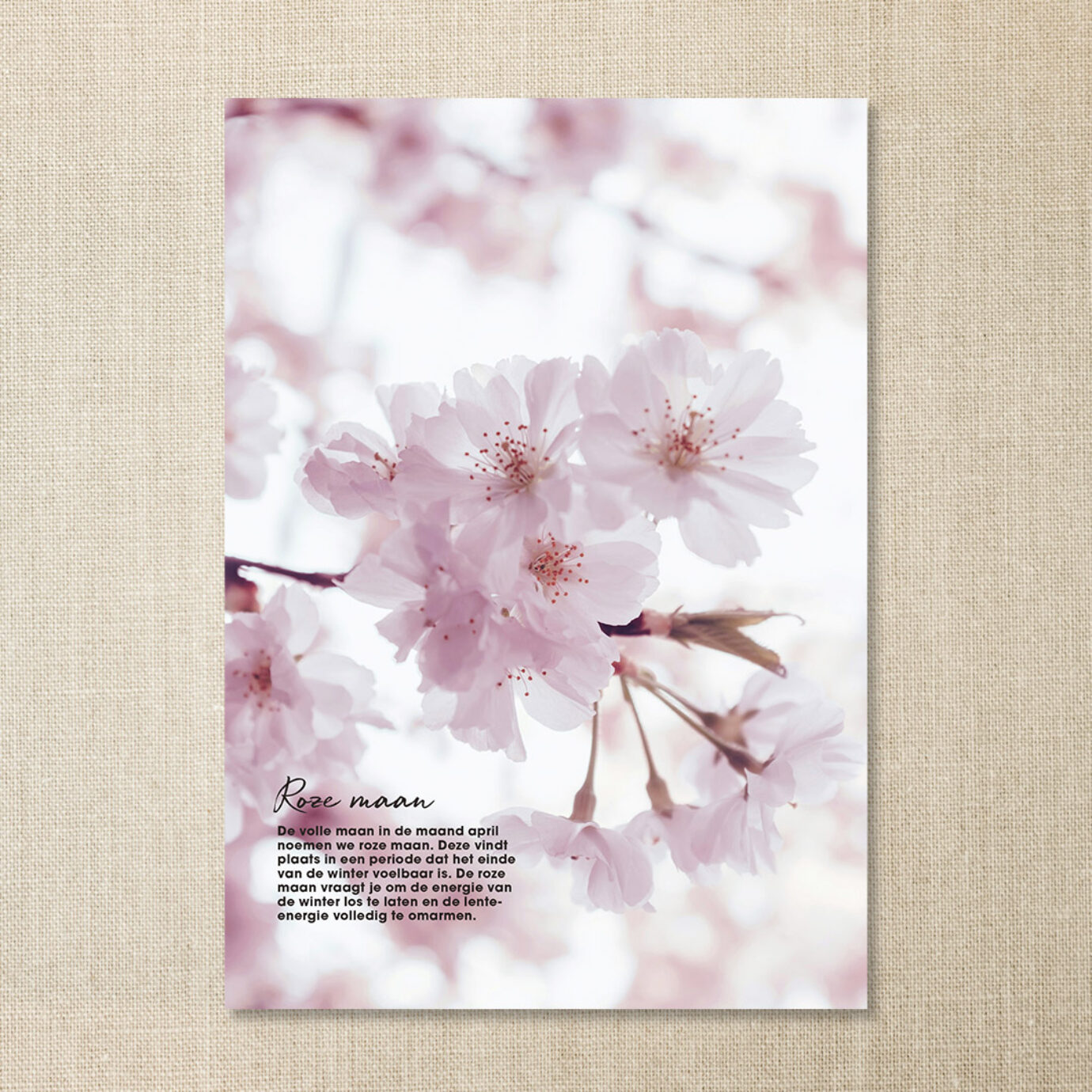 Happinez Agenda 2025 Happinez