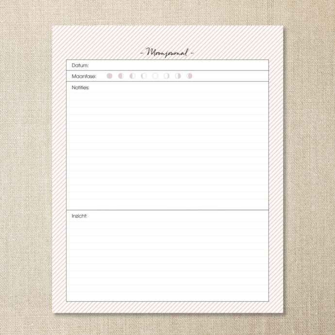 12. inkijkje-planner-1080×1080-slide 7