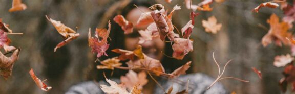 Test: wat manifesteer jij in dit nieuwe seizoen?