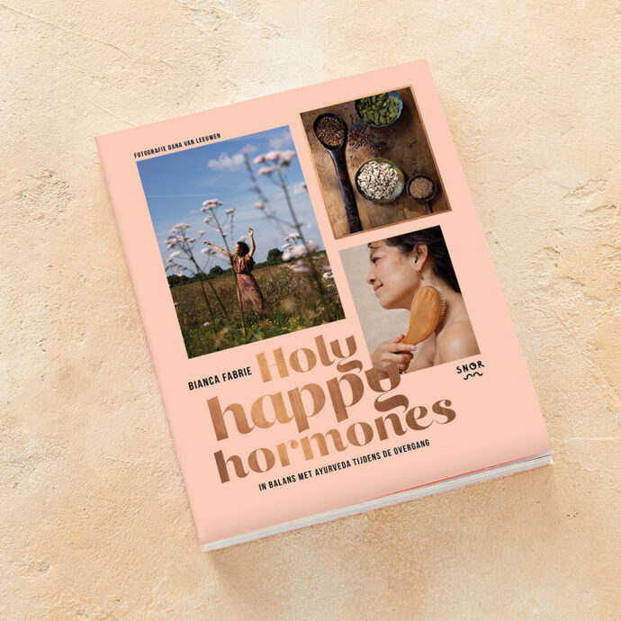 Boek Holy Happy Hormones