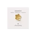 AW30767_1broche hib
