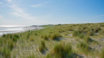 Vertragen en ontspannen: kom volledig tot rust op deze fijne plekken in Zeeland 