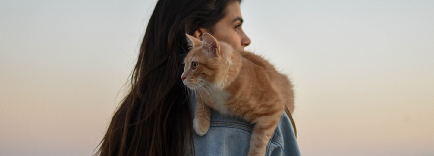Susan Smit over katten als energetische helpers