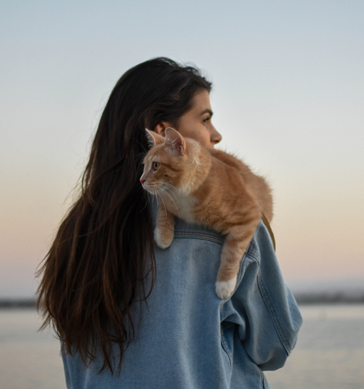 Susan Smit over katten als energetische helpers