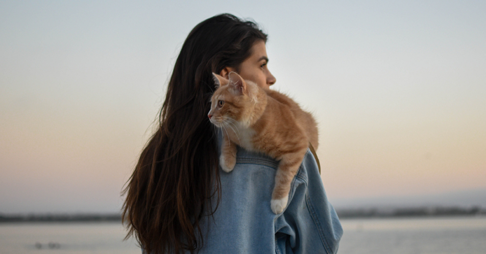 Susan Smit over katten als energetische helpers
