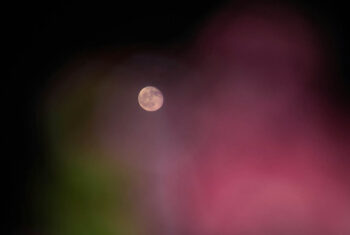De volle maan van 9 augustus 2025: focus op wat groter is dan jij